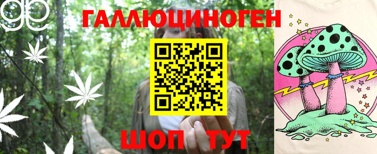 Псилоцибиновые грибы Psilocybine cubensis Саров