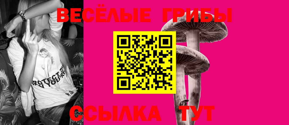 Галлюциногенные грибы мицелий Саров