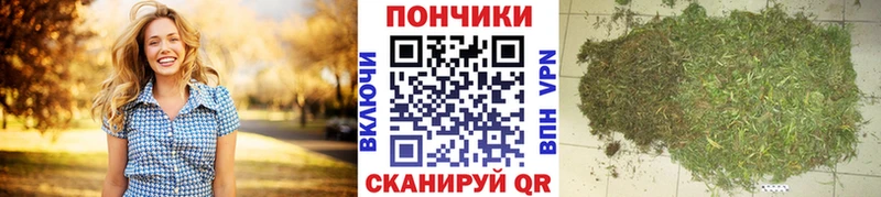 МАРИХУАНА VHQ  где продают   Саров 